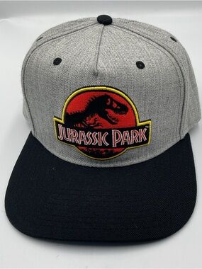 Jurassic Park Kids Grey and Black Logo Snapback Hat